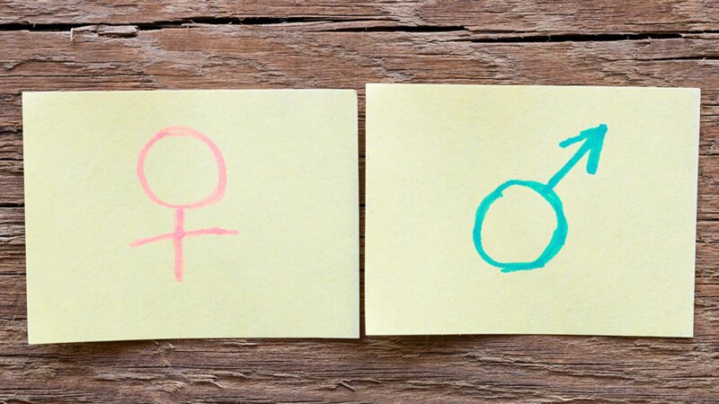 Après Midi Féminin Ou Masculin Petit Robert Qu’est-il correct d’écrire et de dire ? - Féminin-masculin : êtes-vous