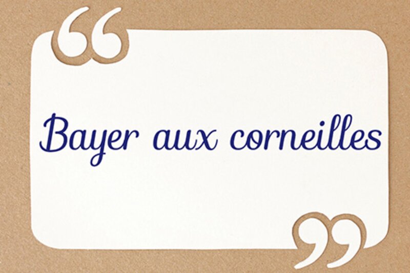 Avoir Maille à Partir Avec Quelqu Un Quelle vieille expression signifie se quereller pour rien avec quelqu
